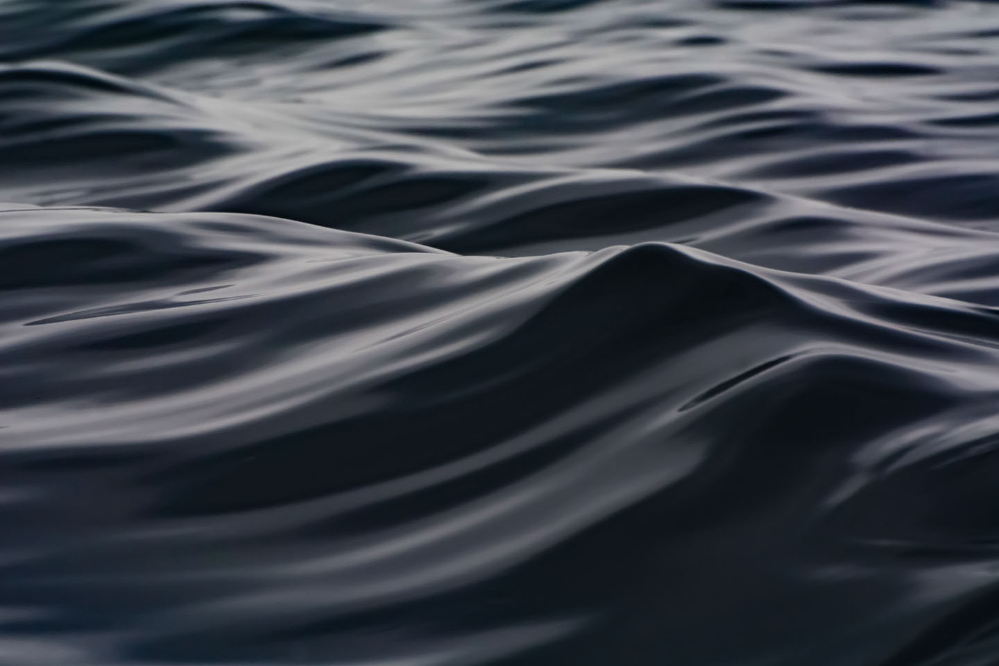 Kiril Peychev photography portfolio image 2