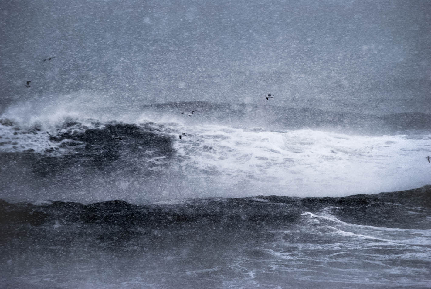 Kiril Peychev photography portfolio image 7