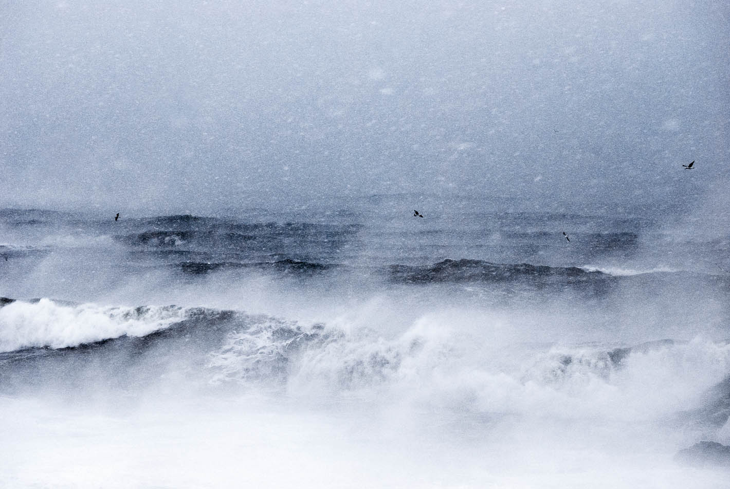 Kiril Peychev photography portfolio image 12