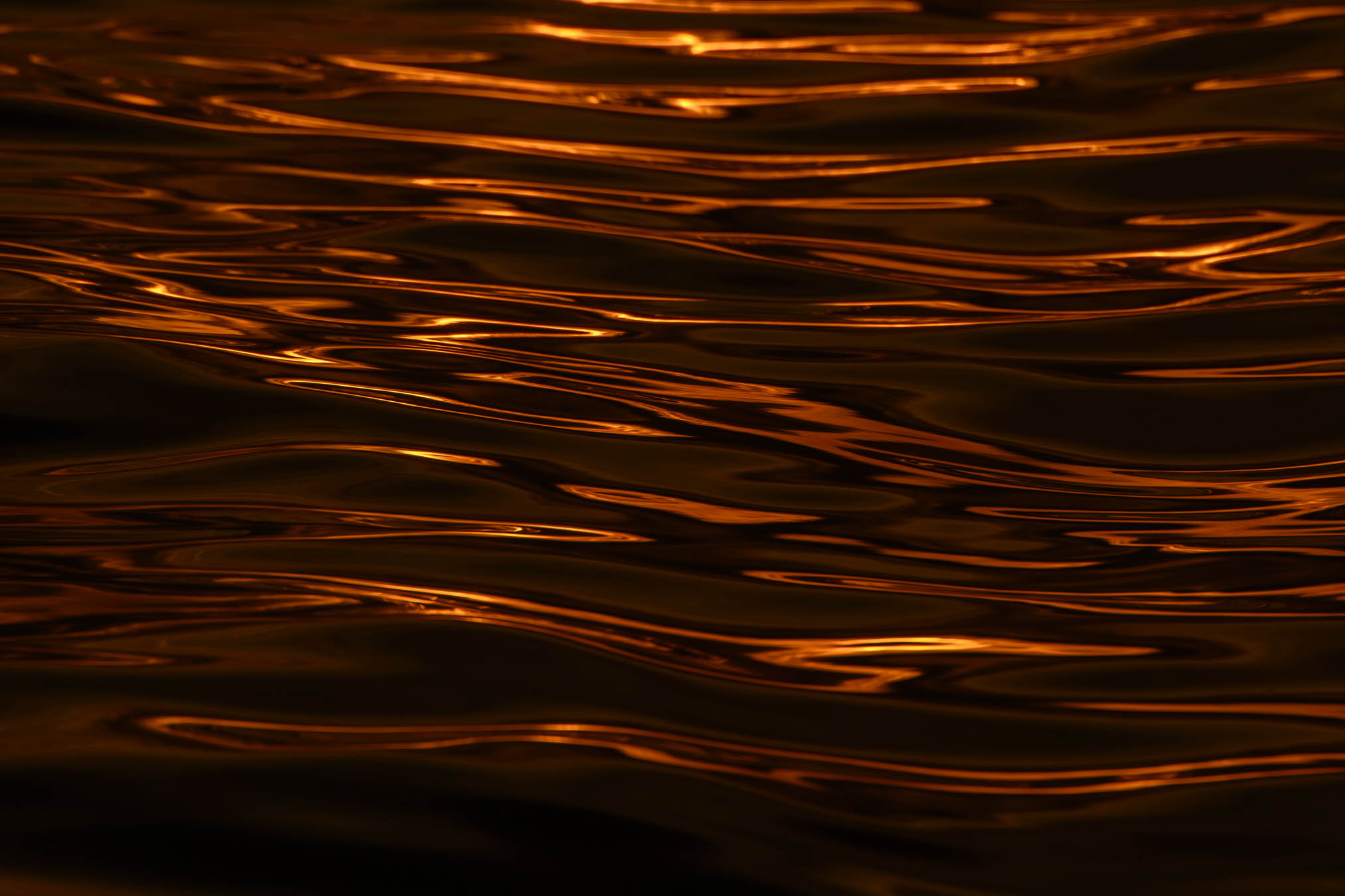 Kiril Peychev photography portfolio image 9