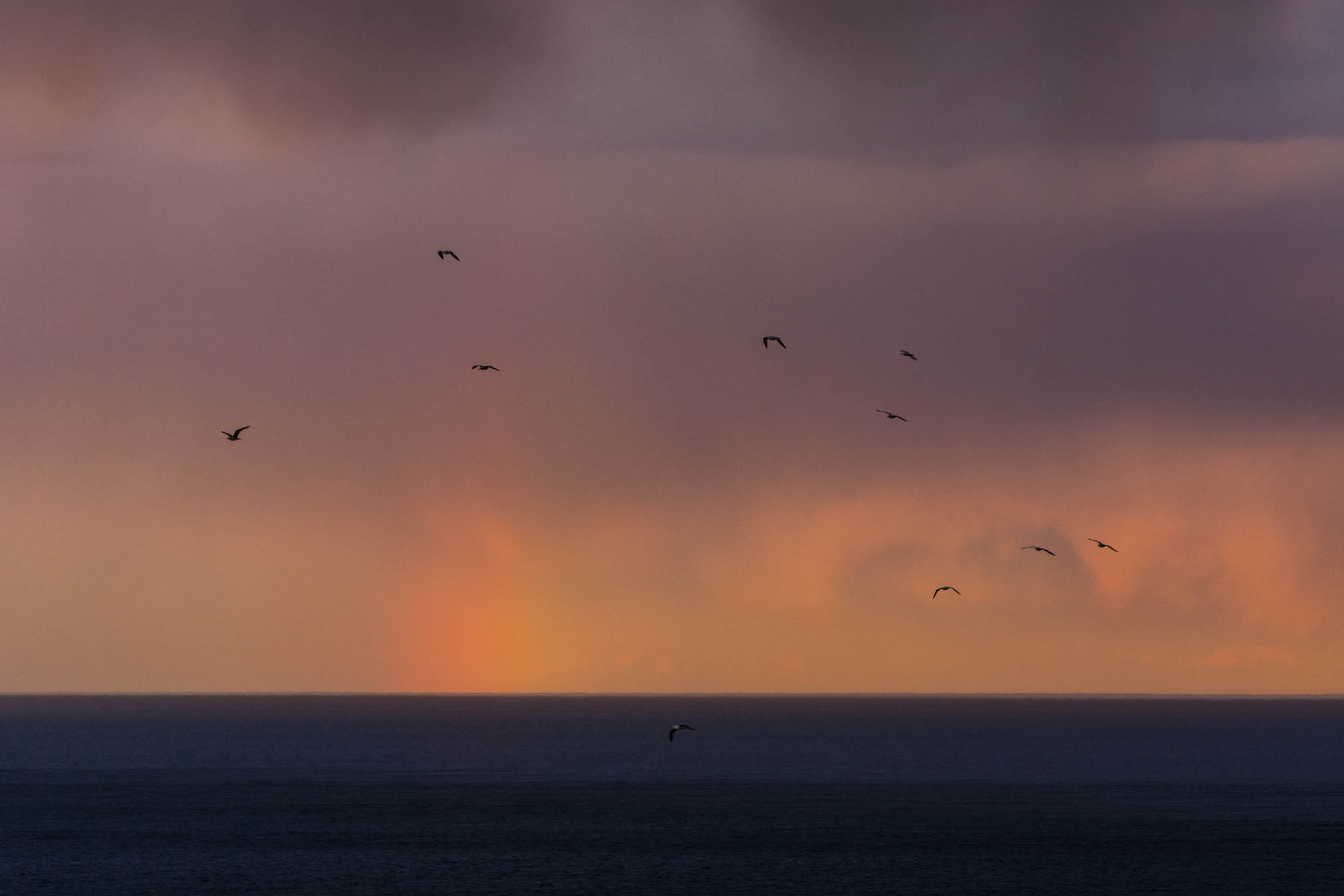 Kiril Peychev photography portfolio image 11